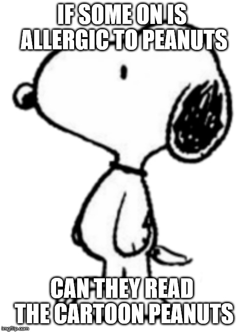 Peanuts | IF SOME ON IS ALLERGIC TO PEANUTS; CAN THEY READ THE CARTOON PEANUTS | image tagged in funny | made w/ Imgflip meme maker