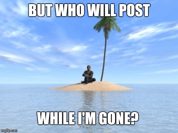 Desert island | BUT WHO WILL POST WHILE I'M GONE? | image tagged in desert island | made w/ Imgflip meme maker