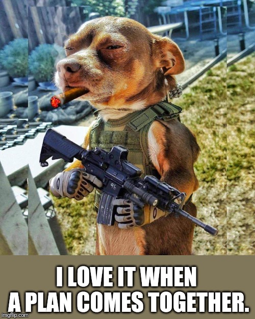 The Meme Team | I LOVE IT WHEN A PLAN COMES TOGETHER. | image tagged in dog,chuck norris with guns,assault rifle,rifle,i love it when a plan comes together | made w/ Imgflip meme maker