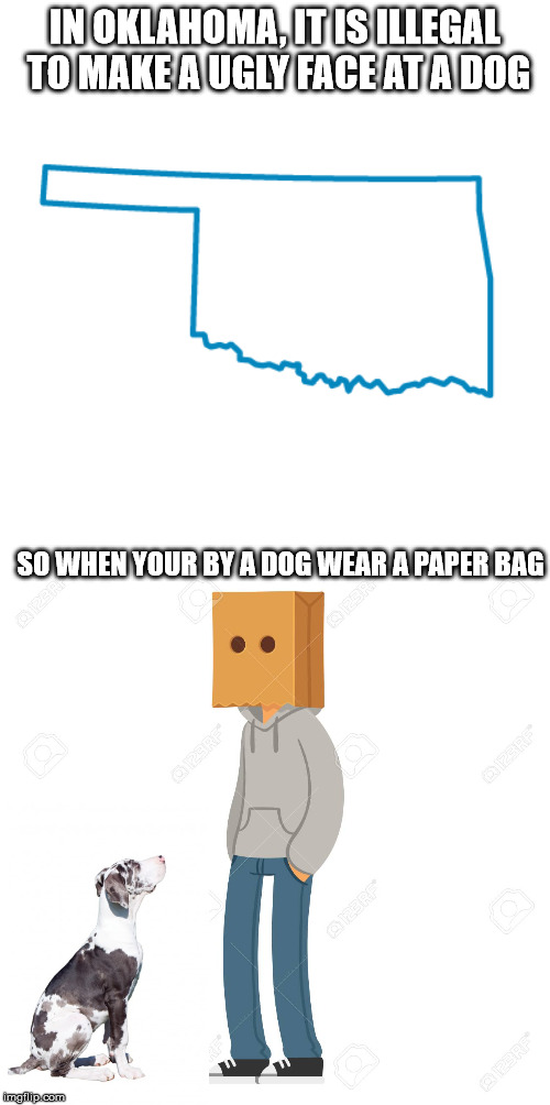 Weird laws | IN OKLAHOMA, IT IS ILLEGAL TO MAKE A UGLY FACE AT A DOG; SO WHEN YOUR BY A DOG WEAR A PAPER BAG | image tagged in weird stuff | made w/ Imgflip meme maker