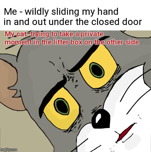 Unsettled Tom Meme | Me - wildly sliding my hand in and out under the closed door; My cat: trying to take a private moment in the litter box on the other side | image tagged in memes,unsettled tom,humor,cat behavior | made w/ Imgflip meme maker