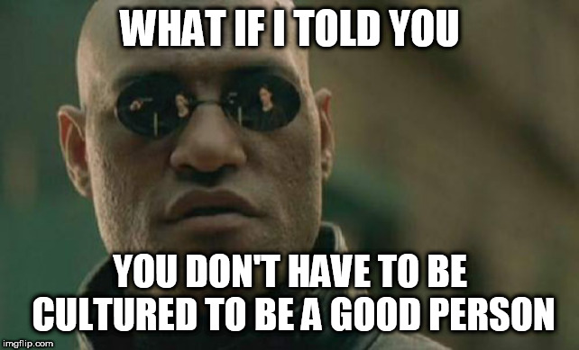 Matrix Morpheus Meme | WHAT IF I TOLD YOU; YOU DON'T HAVE TO BE CULTURED TO BE A GOOD PERSON | image tagged in memes,matrix morpheus,culture,cultured,good,good person | made w/ Imgflip meme maker