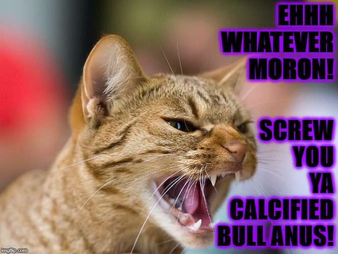 SCREW YOU YA CALCIFIED BULL ANUS! EHHH WHATEVER MORON! | image tagged in eh whatever | made w/ Imgflip meme maker