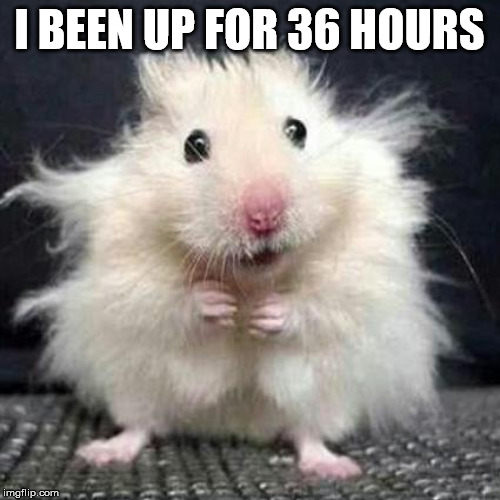 Stressed Mouse | I BEEN UP FOR 36 HOURS | image tagged in stressed mouse | made w/ Imgflip meme maker