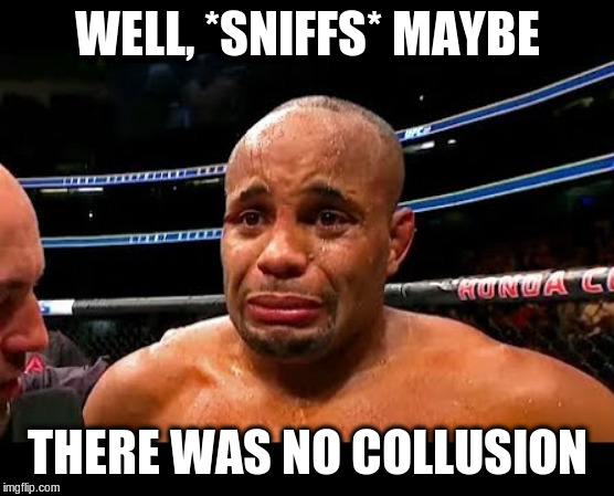 "No Collusion" Butthurt | WELL, *SNIFFS* MAYBE; THERE WAS NO COLLUSION | image tagged in no collusion,butthurt,political meme | made w/ Imgflip meme maker