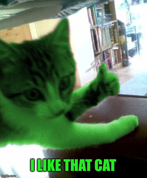 thumbs up RayCat | I LIKE THAT CAT | image tagged in thumbs up raycat | made w/ Imgflip meme maker