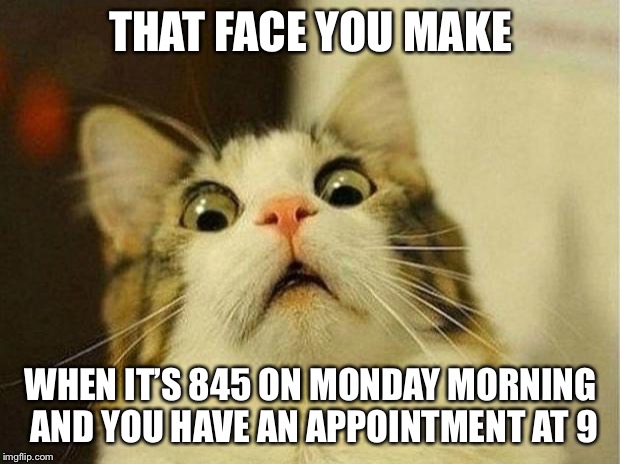 Scared Cat Meme | THAT FACE YOU MAKE; WHEN IT’S 845 ON MONDAY MORNING AND YOU HAVE AN APPOINTMENT AT 9 | image tagged in memes,scared cat | made w/ Imgflip meme maker