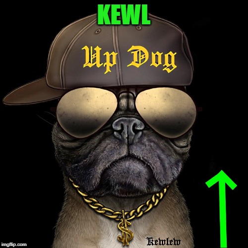 up dog | KEWL | image tagged in up dog | made w/ Imgflip meme maker