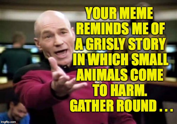 Picard Wtf Meme | YOUR MEME REMINDS ME OF A GRISLY STORY IN WHICH SMALL ANIMALS COME TO HARM.  GATHER ROUND . . . | image tagged in memes,picard wtf | made w/ Imgflip meme maker