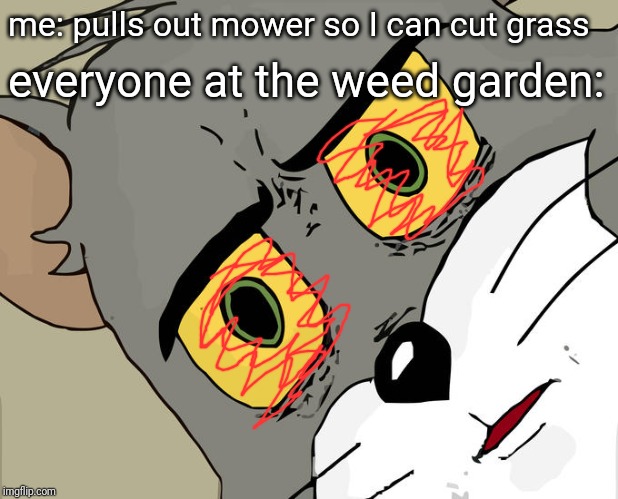 Unsettled Tom | me: pulls out mower so I can cut grass; everyone at the weed garden: | image tagged in memes,unsettled tom,weed | made w/ Imgflip meme maker