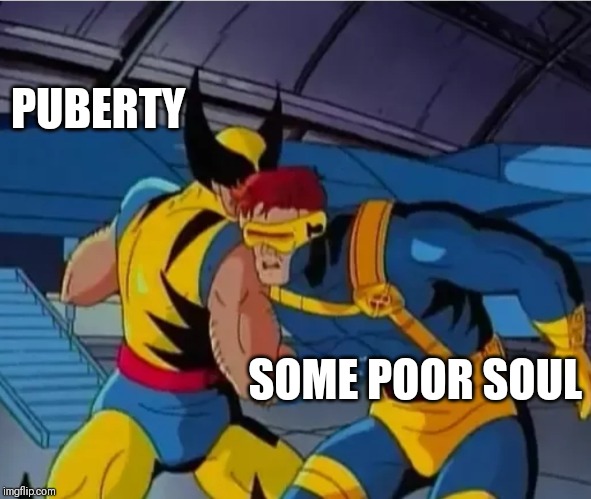 Puberty vs. Someone | PUBERTY; SOME POOR SOUL | image tagged in punch,wolverine,puberty | made w/ Imgflip meme maker