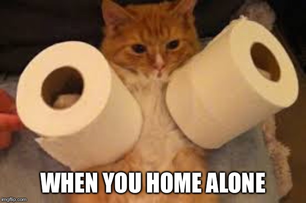 When you home alone | WHEN YOU HOME ALONE | image tagged in cats,funny,funny cats | made w/ Imgflip meme maker