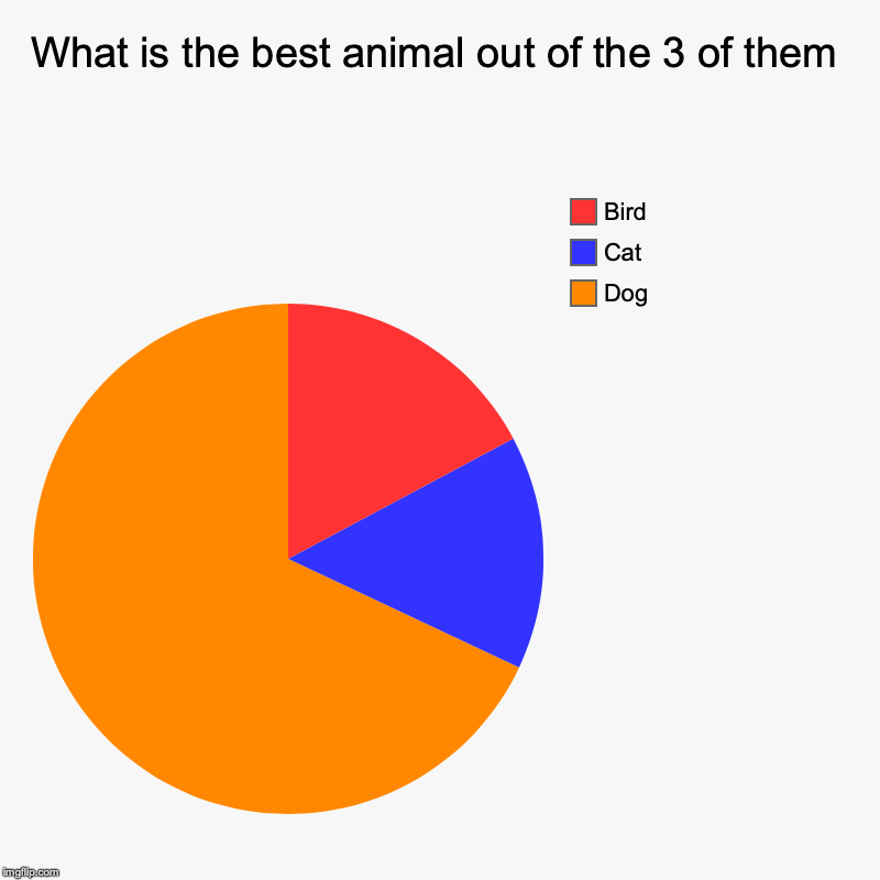 What is the best animal out of the 3 of them | Dog, Cat, Bird | image tagged in charts,pie charts | made w/ Imgflip chart maker