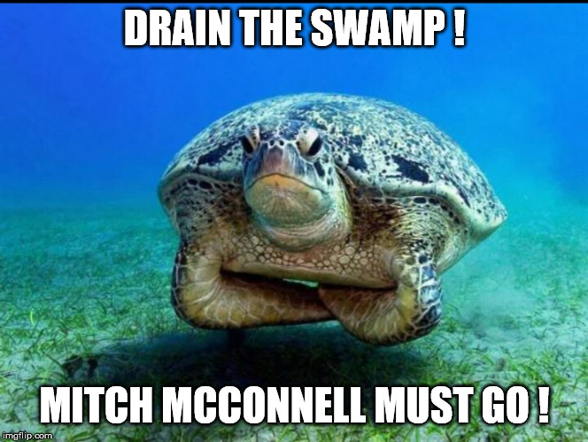 Neutral buoyancy turtle | DRAIN THE SWAMP ! MITCH MCCONNELL MUST GO ! | image tagged in neutral buoyancy turtle | made w/ Imgflip meme maker
