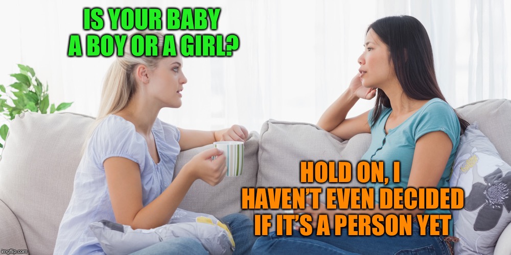 Two women talking | IS YOUR BABY A BOY OR A GIRL? HOLD ON, I HAVEN’T EVEN DECIDED IF IT’S A PERSON YET | image tagged in two women talking | made w/ Imgflip meme maker