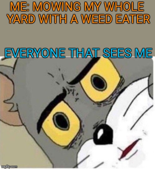 I can mow faster with a weed eater than I can with a push mower | ME: MOWING MY WHOLE YARD WITH A WEED EATER; EVERYONE THAT SEES ME | image tagged in tom and jerry meme,memes,true story,weed eater,mowing,grass | made w/ Imgflip meme maker