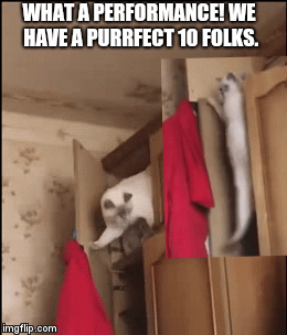 WHAT A PERFORMANCE! WE HAVE A PURRFECT 10 FOLKS. | image tagged in gifs | made w/ Imgflip video-to-gif maker