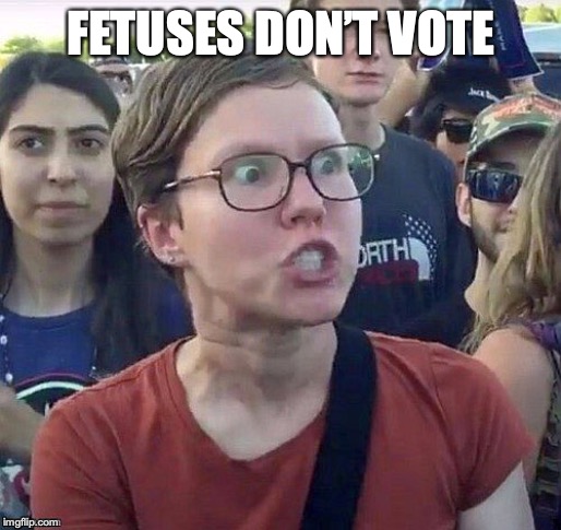 foggy | FETUSES DON’T VOTE | image tagged in foggy | made w/ Imgflip meme maker
