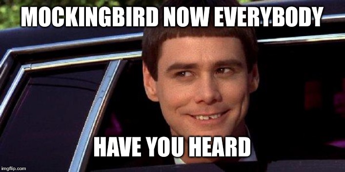 dumb and dumber | MOCKINGBIRD NOW EVERYBODY HAVE YOU HEARD | image tagged in dumb and dumber | made w/ Imgflip meme maker