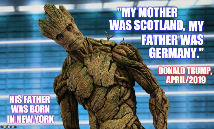 I Am Groot | MY FATHER WAS GERMANY."; "MY MOTHER WAS SCOTLAND, DONALD TRUMP, APRIL/2019; HIS FATHER WAS BORN IN NEW YORK | image tagged in groot,liar in chief,trump unfit unqualified dangerous,alzheimers,liar liar,memes | made w/ Imgflip meme maker