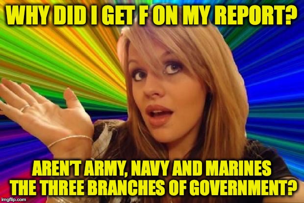 stupid girl meme | WHY DID I GET F ON MY REPORT? AREN’T ARMY, NAVY AND MARINES THE THREE BRANCHES OF GOVERNMENT? | image tagged in stupid girl meme,government | made w/ Imgflip meme maker