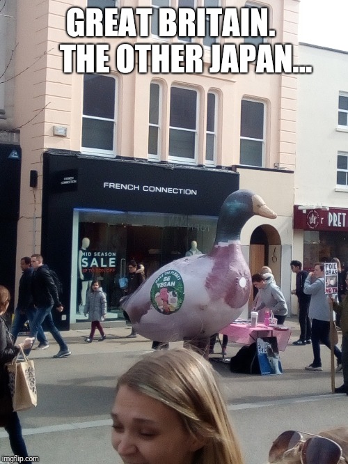 Great Britain. The other Japan... | GREAT BRITAIN.
    THE OTHER JAPAN... | image tagged in britain,veganism,japan,funny | made w/ Imgflip meme maker