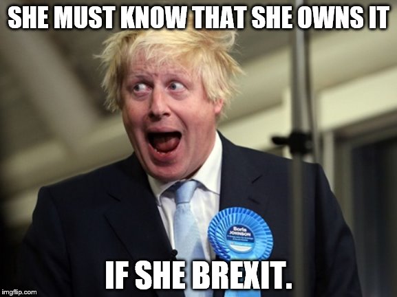 Boris Johnson | SHE MUST KNOW THAT SHE OWNS IT IF SHE BREXIT. | image tagged in boris johnson | made w/ Imgflip meme maker