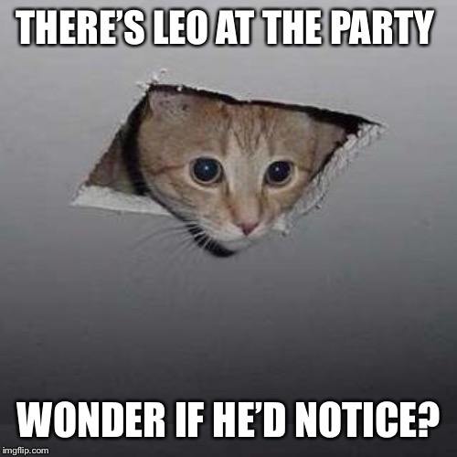 Ceiling Cat Meme | THERE’S LEO AT THE PARTY WONDER IF HE’D NOTICE? | image tagged in memes,ceiling cat | made w/ Imgflip meme maker