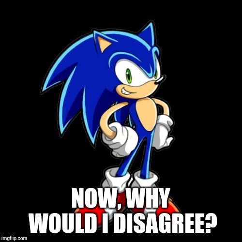 You're Too Slow Sonic Meme | NOW, WHY WOULD I DISAGREE? | image tagged in memes,youre too slow sonic | made w/ Imgflip meme maker