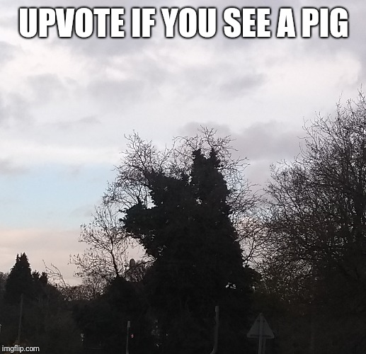 Every day I see it | UPVOTE IF YOU SEE A PIG | image tagged in memes,funny memes,funny,latest | made w/ Imgflip meme maker