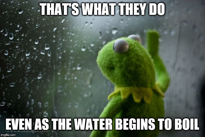 kermit window | THAT'S WHAT THEY DO EVEN AS THE WATER BEGINS TO BOIL | image tagged in kermit window | made w/ Imgflip meme maker