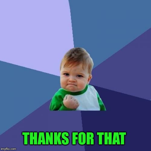 Success Kid Meme | THANKS FOR THAT | image tagged in memes,success kid | made w/ Imgflip meme maker