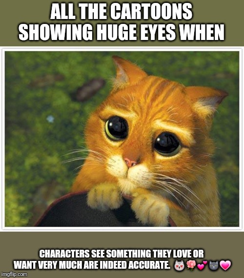 Shrek Cat Meme | ALL THE CARTOONS SHOWING HUGE EYES WHEN CHARACTERS SEE SOMETHING THEY LOVE OR WANT VERY MUCH ARE INDEED ACCURATE.  ????? | image tagged in memes,shrek cat | made w/ Imgflip meme maker