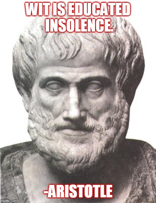 Aristotle | WIT IS EDUCATED INSOLENCE. -ARISTOTLE | image tagged in aristotle | made w/ Imgflip meme maker