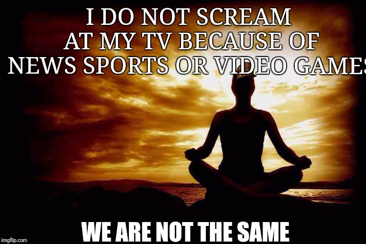 A Few Zen Thoughts For Those Who Take Life Too Seriously | I DO NOT SCREAM AT MY TV BECAUSE OF NEWS SPORTS OR VIDEO GAMES; WE ARE NOT THE SAME | image tagged in a few zen thoughts for those who take life too seriously | made w/ Imgflip meme maker