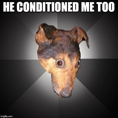 Depression Dog Meme | HE CONDITIONED ME TOO | image tagged in memes,depression dog | made w/ Imgflip meme maker