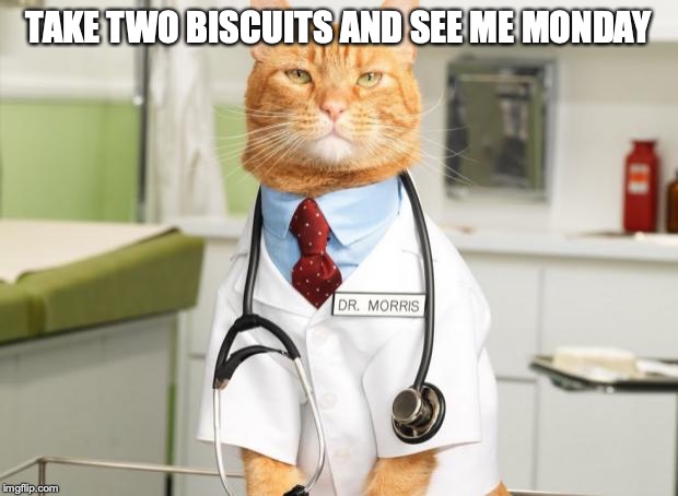 Cat Doctor | TAKE TWO BISCUITS AND SEE ME MONDAY | image tagged in cat doctor | made w/ Imgflip meme maker