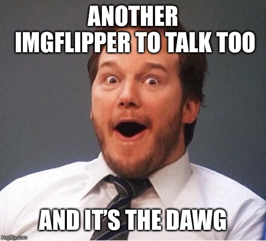 excited | ANOTHER IMGFLIPPER TO TALK TOO AND IT’S THE DAWG | image tagged in excited | made w/ Imgflip meme maker