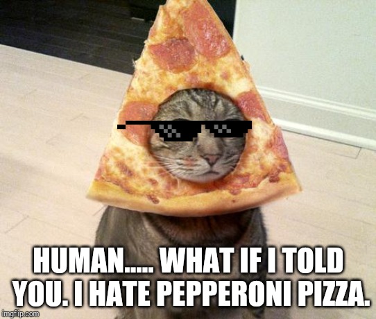 Well.... don't hate me but I hate pepperoni pizza and I prefer tuna on my pizza. | HUMAN..... WHAT IF I TOLD YOU. I HATE PEPPERONI PIZZA. | image tagged in pizza cat,pizza,what if i told you | made w/ Imgflip meme maker