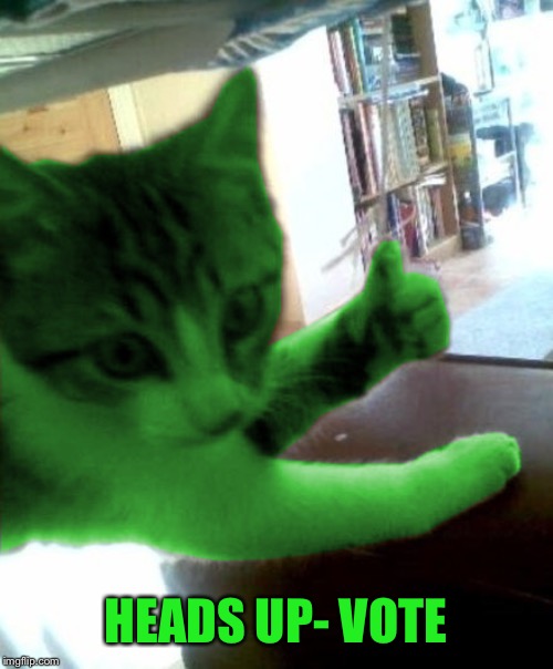 thumbs up RayCat | HEADS UP- VOTE | image tagged in thumbs up raycat | made w/ Imgflip meme maker