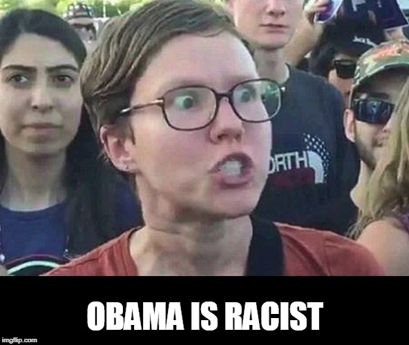 Triggered Liberal | OBAMA IS RACIST | image tagged in triggered liberal | made w/ Imgflip meme maker