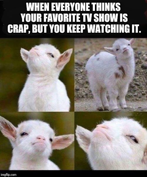 WHEN EVERYONE THINKS YOUR FAVORITE TV SHOW IS CRAP, BUT YOU KEEP WATCHING IT. | image tagged in zero fuks given goat | made w/ Imgflip meme maker