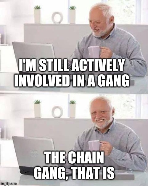 Hide the Pain Harold Meme | I'M STILL ACTIVELY INVOLVED IN A GANG THE CHAIN GANG, THAT IS | image tagged in memes,hide the pain harold | made w/ Imgflip meme maker