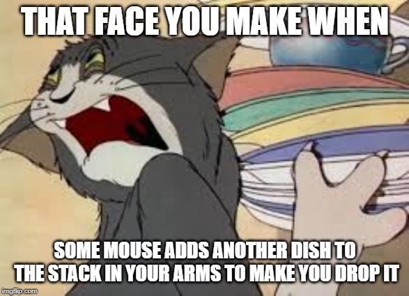 tom and jerry | THAT FACE YOU MAKE WHEN; SOME MOUSE ADDS ANOTHER DISH TO THE STACK IN YOUR ARMS TO MAKE YOU DROP IT | image tagged in tom and jerry | made w/ Imgflip meme maker