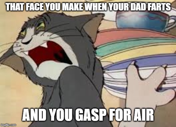 tom and jerry | THAT FACE YOU MAKE WHEN YOUR DAD FARTS; AND YOU GASP FOR AIR | image tagged in tom and jerry | made w/ Imgflip meme maker