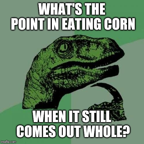 Philosoraptor Meme | WHAT'S THE POINT IN EATING CORN; WHEN IT STILL COMES OUT WHOLE? | image tagged in memes,philosoraptor | made w/ Imgflip meme maker