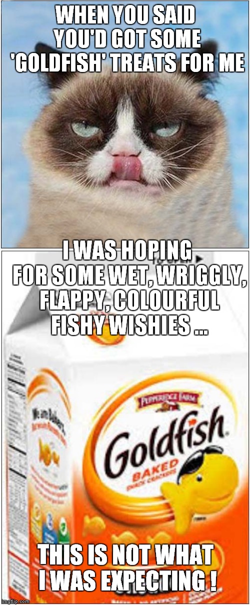 Grumpy Prefers Fishy Treats | WHEN YOU SAID YOU'D GOT SOME 'GOLDFISH' TREATS FOR ME; I WAS HOPING FOR SOME WET, WRIGGLY, FLAPPY, COLOURFUL FISHY WISHIES ... THIS IS NOT WHAT I WAS EXPECTING ! | image tagged in cats,grumpy cat | made w/ Imgflip meme maker