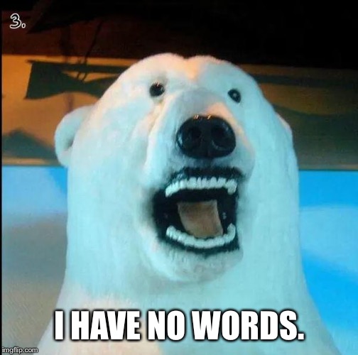 Horrified Polar Bear | I HAVE NO WORDS. | image tagged in horrified polar bear | made w/ Imgflip meme maker