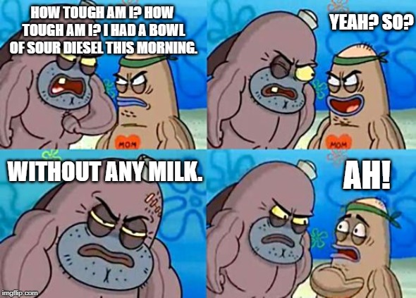 Welcome to the Salty Spitoon | YEAH? SO? HOW TOUGH AM I? HOW TOUGH AM I? I HAD A BOWL OF SOUR DIESEL THIS MORNING. AH! WITHOUT ANY MILK. | image tagged in welcome to the salty spitoon | made w/ Imgflip meme maker