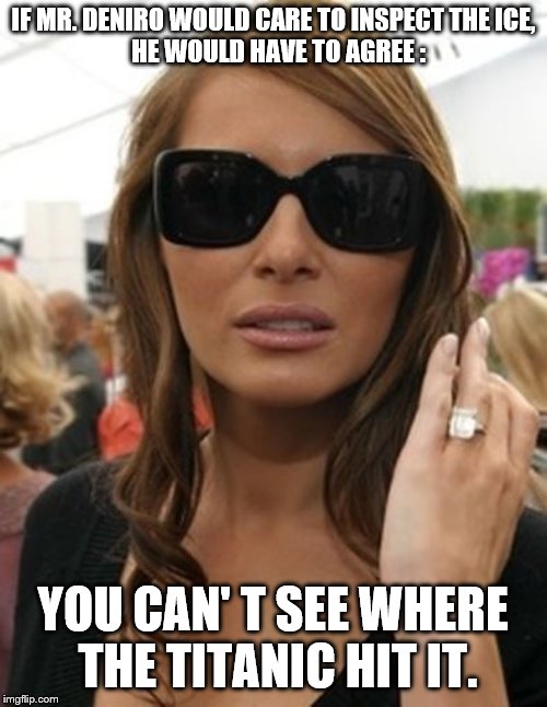 IF MR. DENIRO WOULD CARE TO INSPECT THE ICE,              HE WOULD HAVE TO AGREE : YOU CAN' T SEE WHERE  THE TITANIC HIT IT. | image tagged in melania knauss engagement ring | made w/ Imgflip meme maker